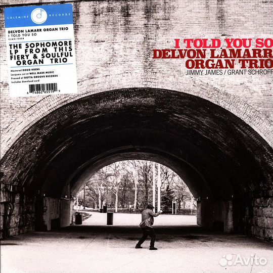 Delvon Lamarr Organ Trio - I Told You So (Vinyl)