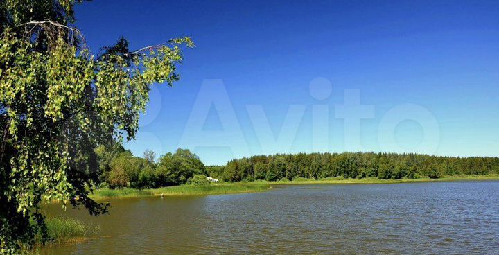 Участок 10 сот. (ИЖС)