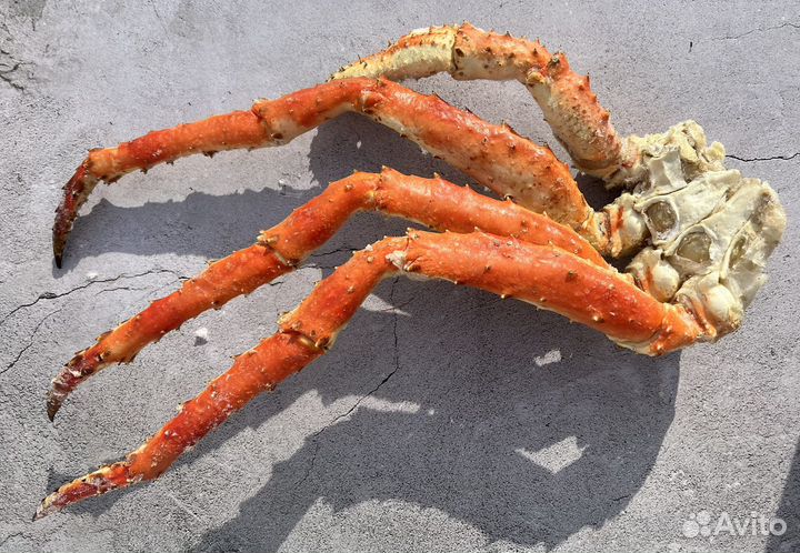 Клешни камчатского краба