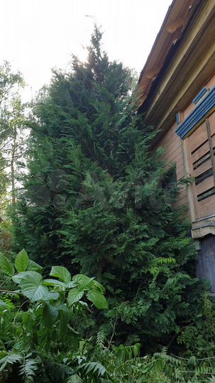 Дача 44,6 м² на участке 6 сот.