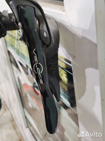 Prophet Kuota kharma race карбон