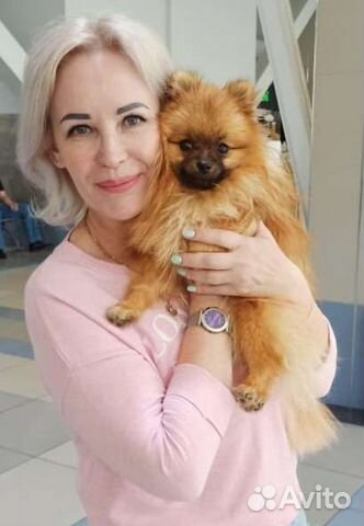 Передержка домашних животных