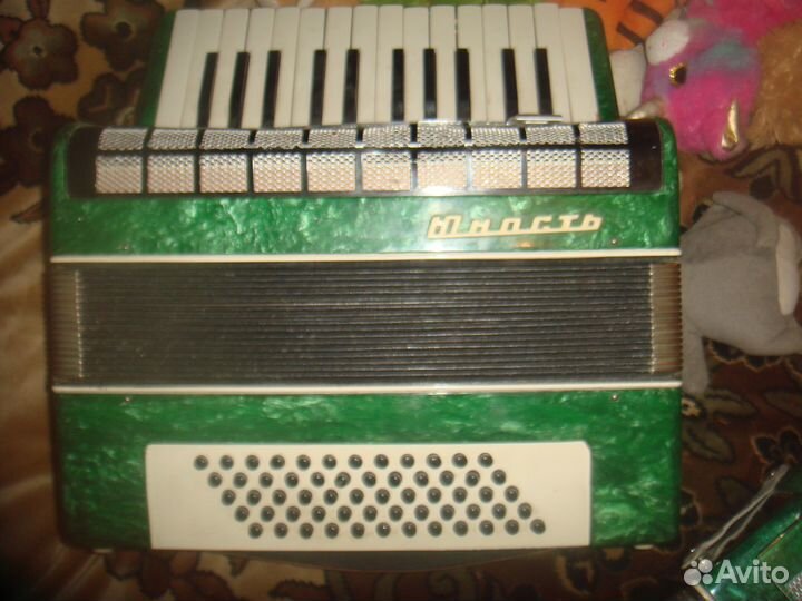 Аккордеон юность2- половинка
