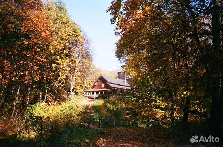 Olympus Trip XB3 + примеры фото