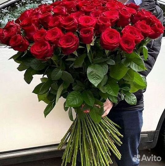 Высокие розы Гигантские розы Доставка цветов