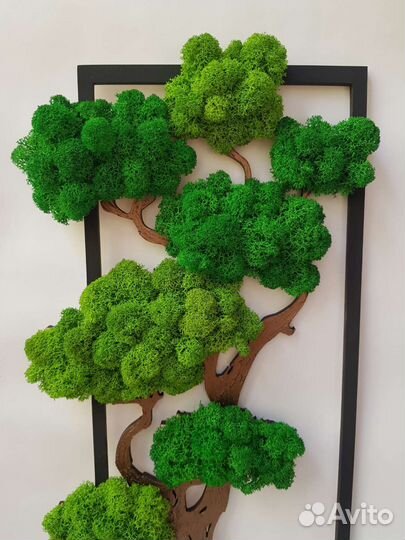 Панно из стабилизированного мха 