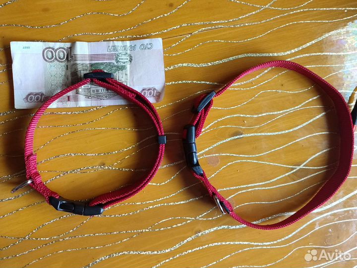 Ошейник для собак