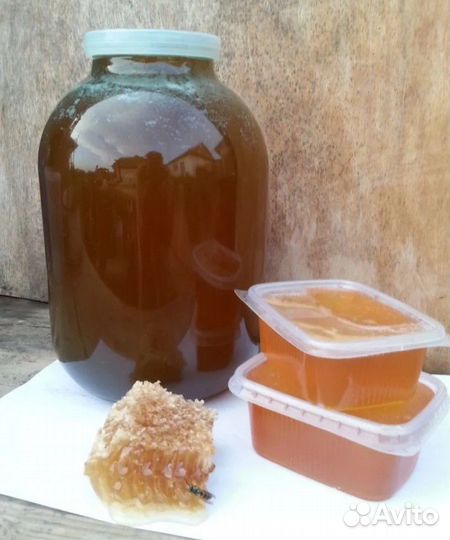 Мёд натуральный - свежий 2023 г
