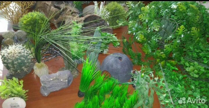 Для аквариума