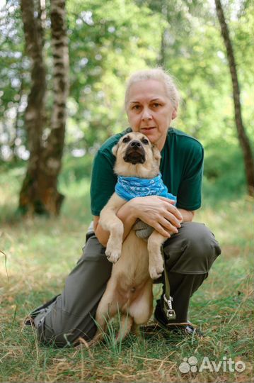 Щенок Коля в добрые руки