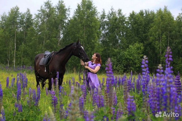 Прокат лошадей, экскурсии на конюшню, фотосессии