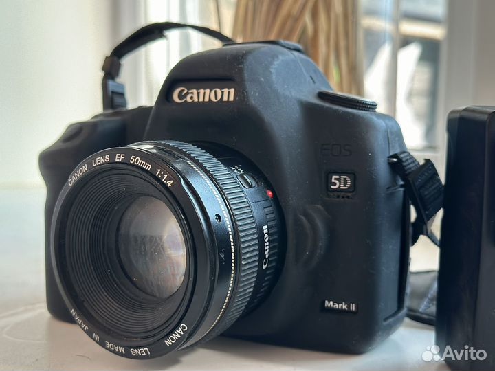 Зеркальный фотоаппарат canon 5D mark II