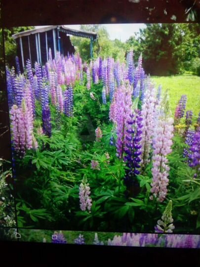 Участок 6 сот. (СНТ, ДНП)