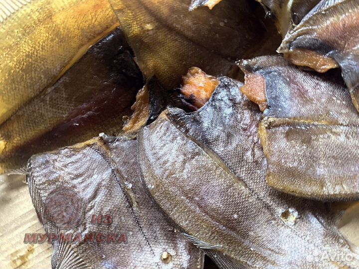 Камбала ерш