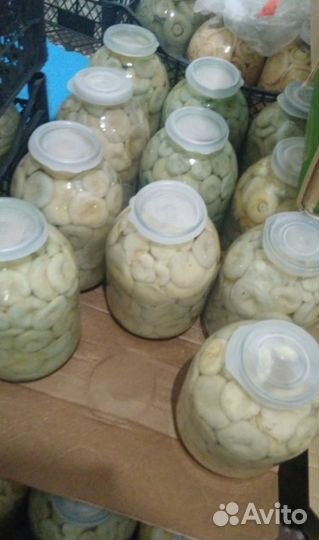 Груди соленые