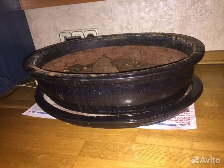 Керамический горшок для цветов(дерева) 60/45,цена