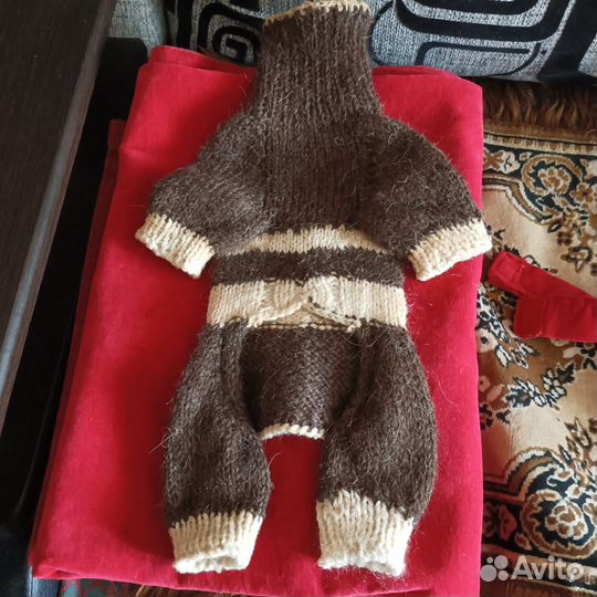 Одежда для тойчика