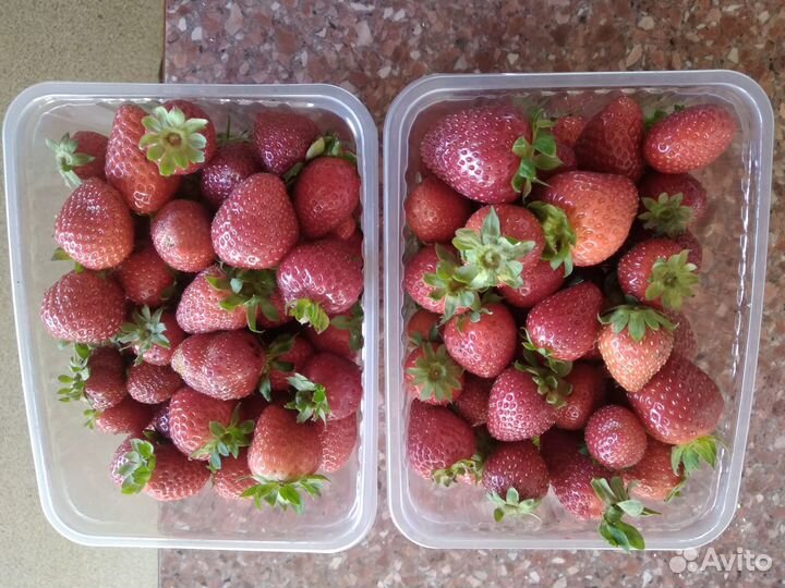 Клубника, свежая