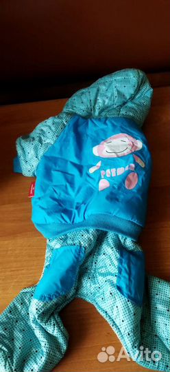 Одежда для собак