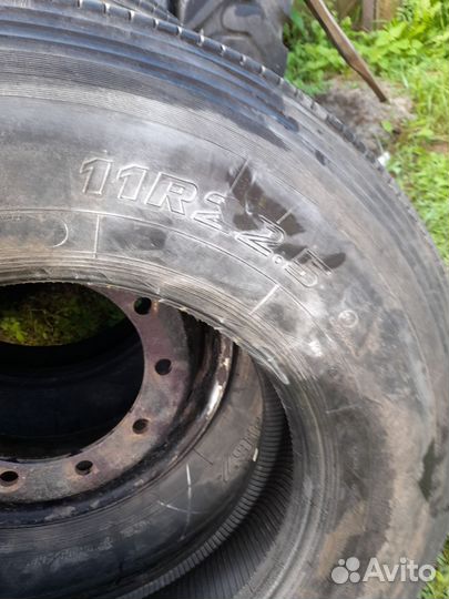 Шины 11R22.5 medved