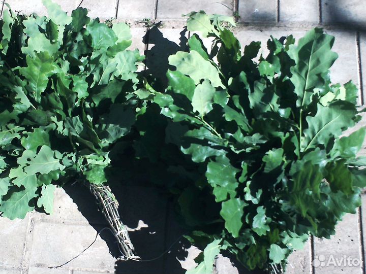 Веники для сауны И бани