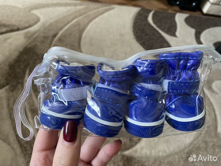 Одежда для маленьких пород собак