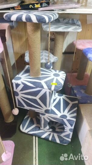 Когтеточки,комплексы