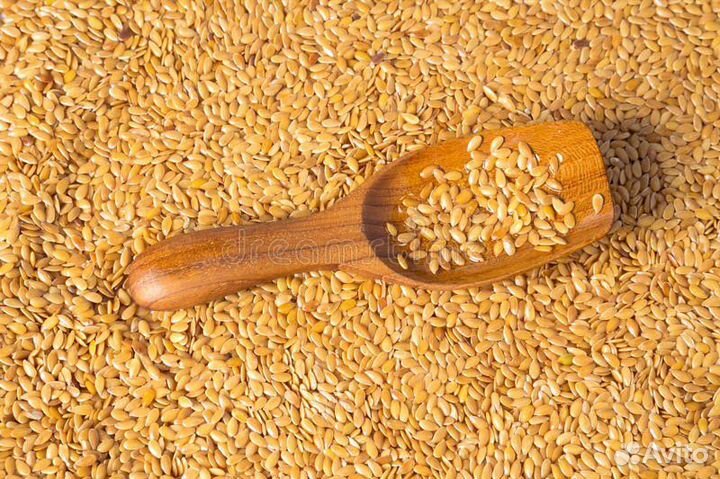 Семена Льна