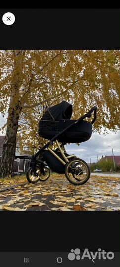 Коляска 2 в 1 adamex