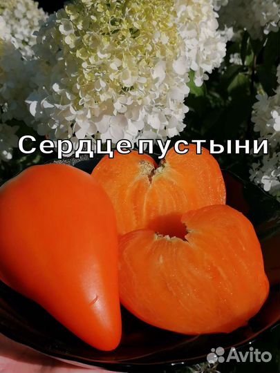 Семена сортовых томатов