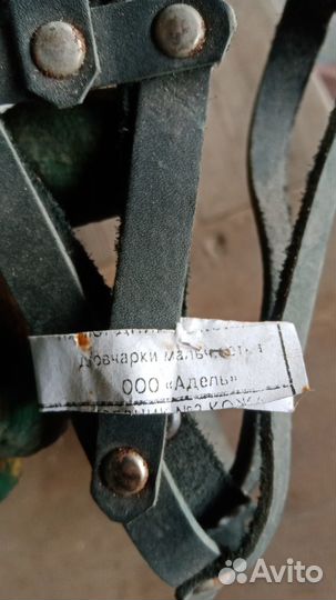 Собачий намордник