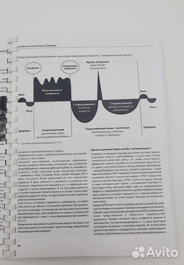 Берн Айбль Справочник пациента и врача на основе Г