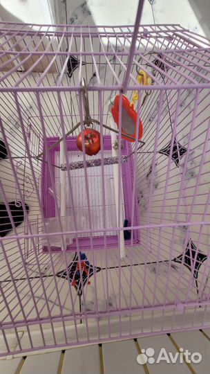 Клетка для попугая
