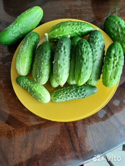 Домашние куриные яйца