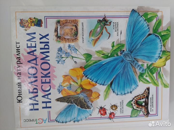 Энциклопедия для детей 