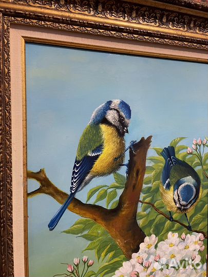 Птицы на ветке