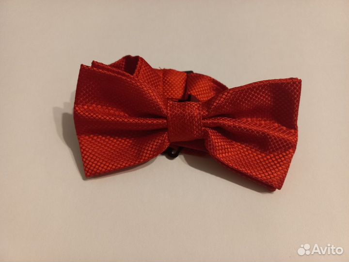 Бабочка мужская