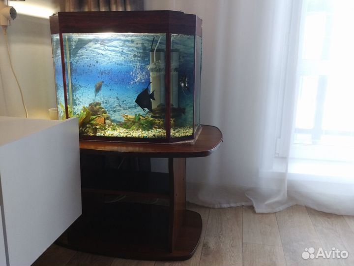 Аквариум с рыбками