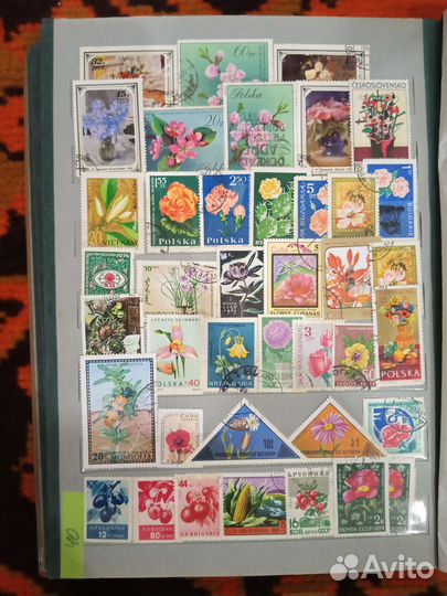 Почтовые марки Флора