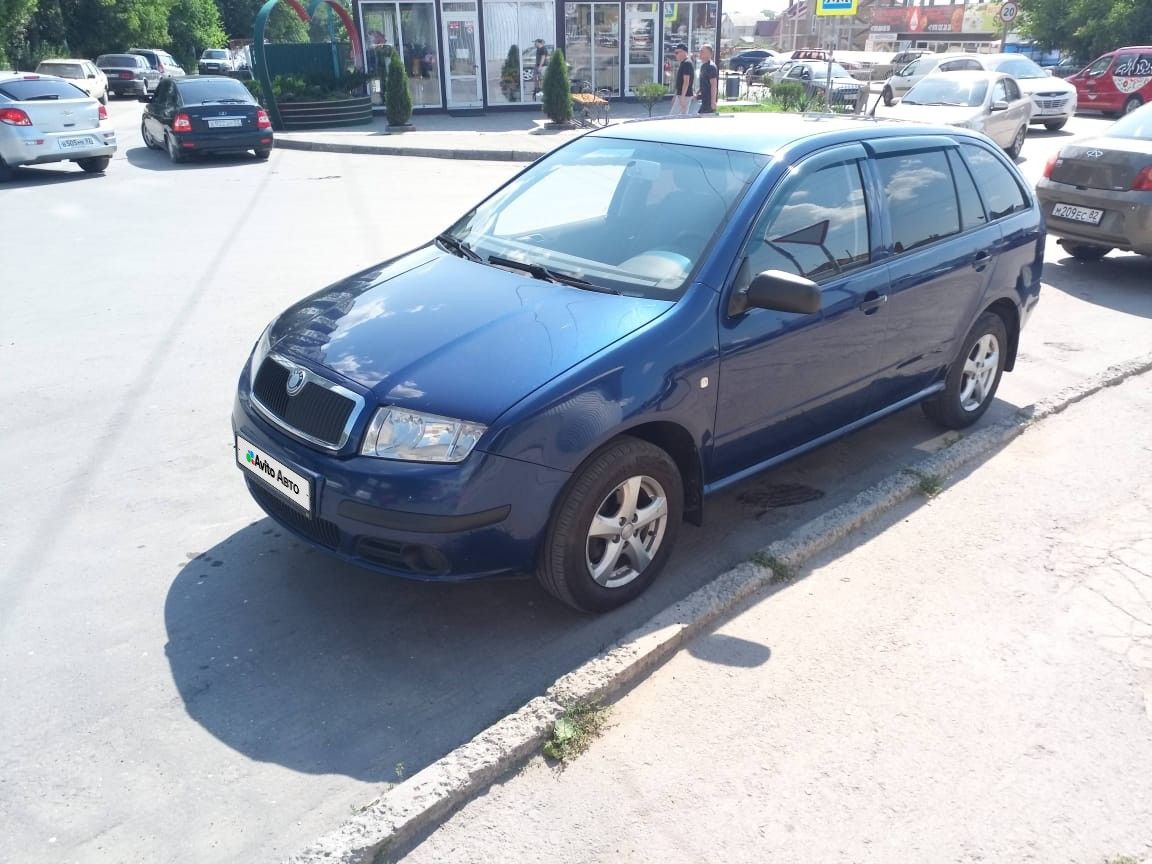 Skoda Fabia: фото владельца