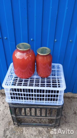 Соленья домашние