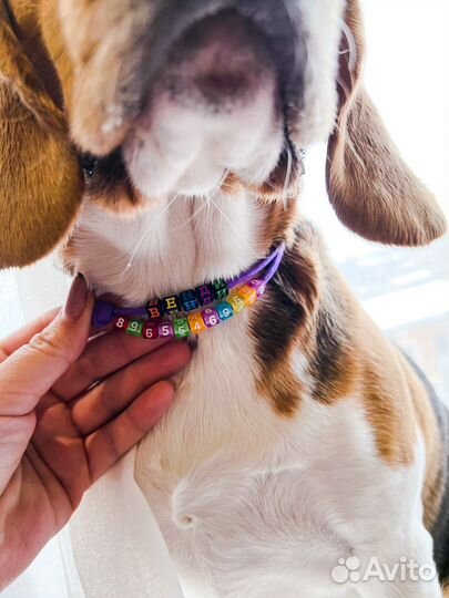 Адресник с бусинами