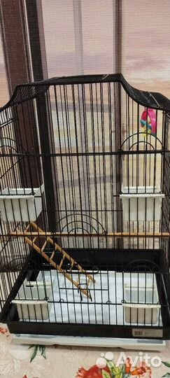 Клетка для попугаев