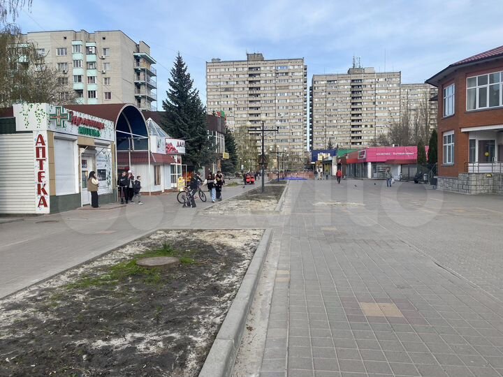 Торговая площадь, 215 м²