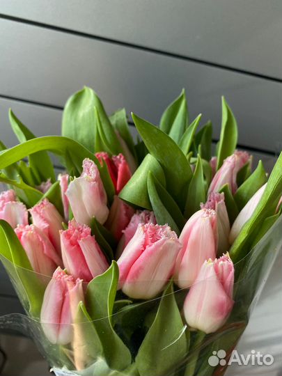 Букет из тюльпанов