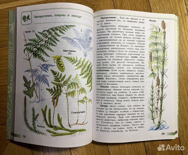 Школьные книги