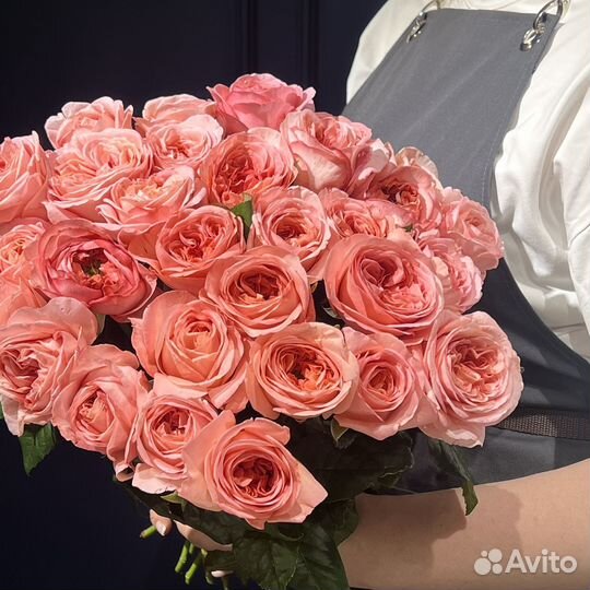 Роза пионовидная