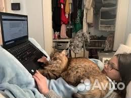 Легкая работа из дома. График на выбор. Оператор