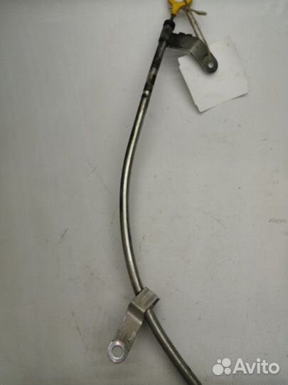 Щуп масляный Nissan Elgrand NE51 VQ35DE 2008