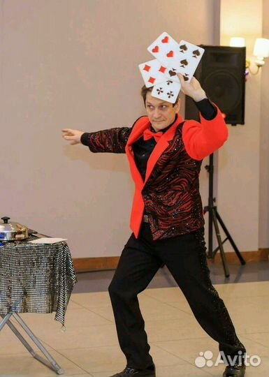 Фокусы, иллюзия, королевские пуделя, питон Лили и